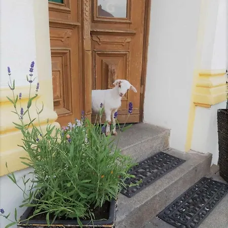 Pensión Am Stadtgraben 3*