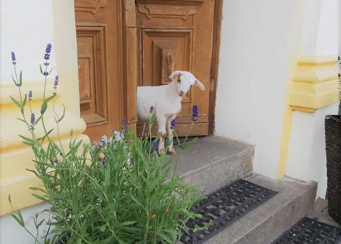 Pensionat Am Stadtgraben 3*